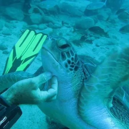 Ocean View The Sunset Costa Adeje (Tenerife)